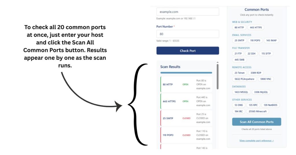 Bulk port scan results table showing multiple ports with open and closed status indicators for example.com
