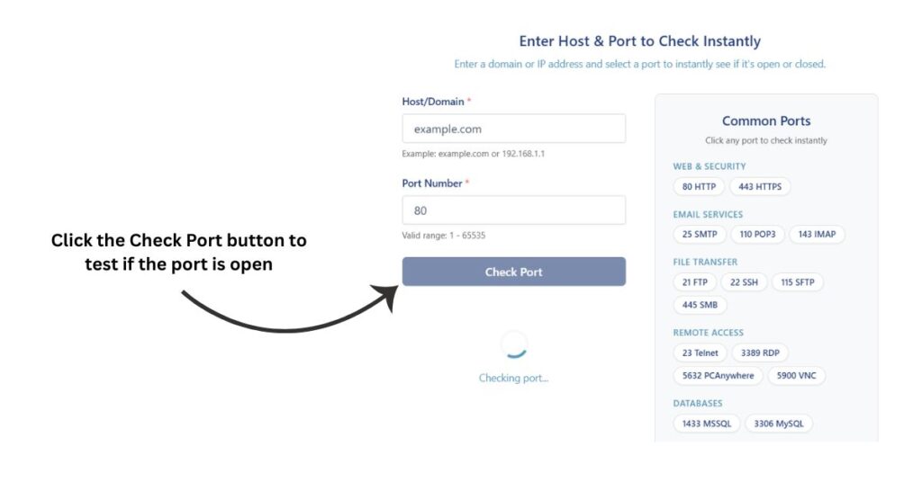 Check Port button highlighted in the open port checker tool interface