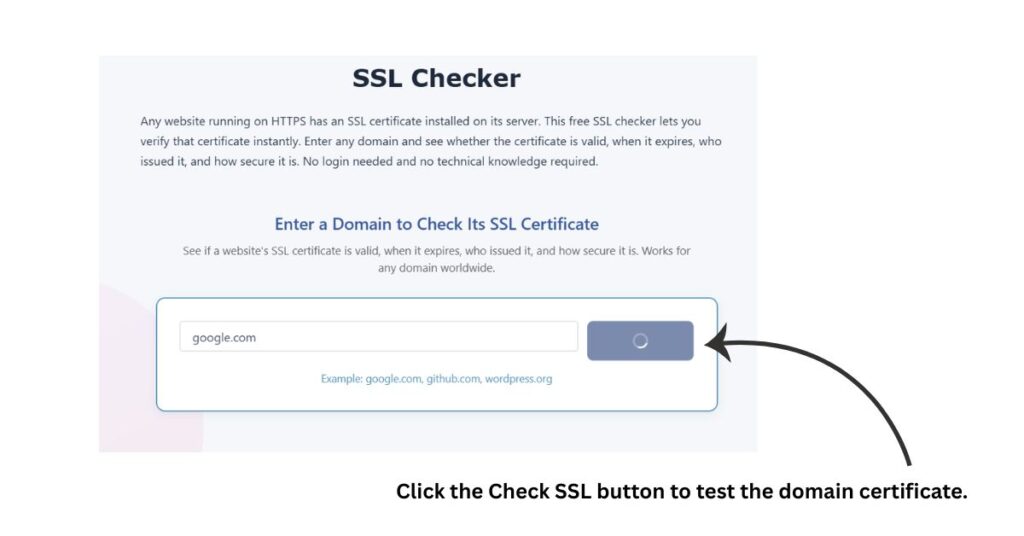 Check SSL button used to test the SSL certificate for google.com