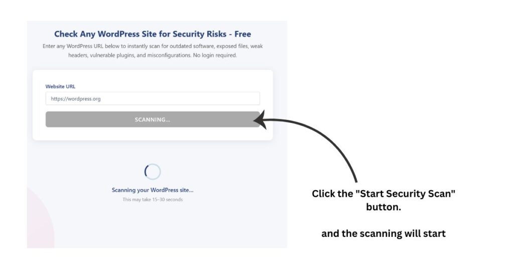 Clicking the Start Security Scan button to begin the scan