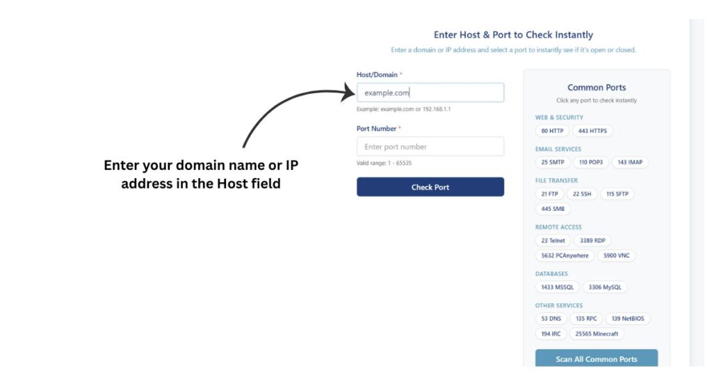 Open port checker tool interface with example.com entered in the host input field