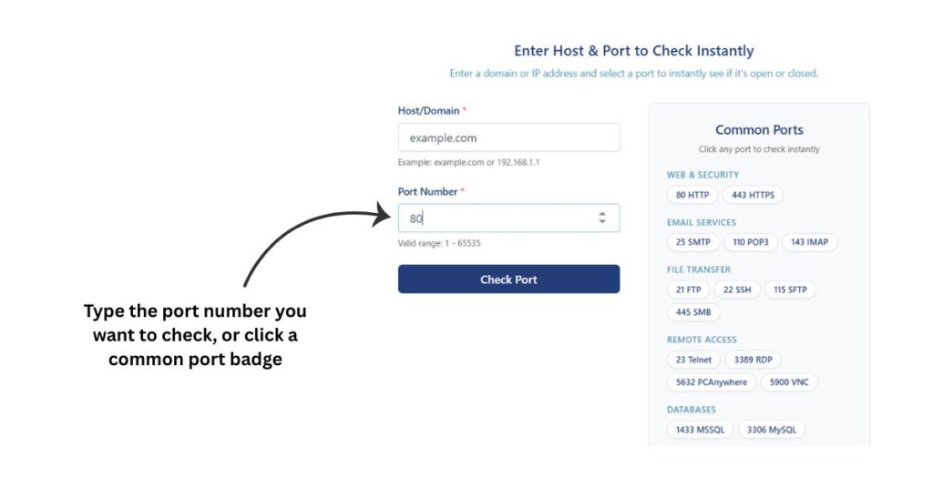 Port checker form showing port 80 entered in the port number input field