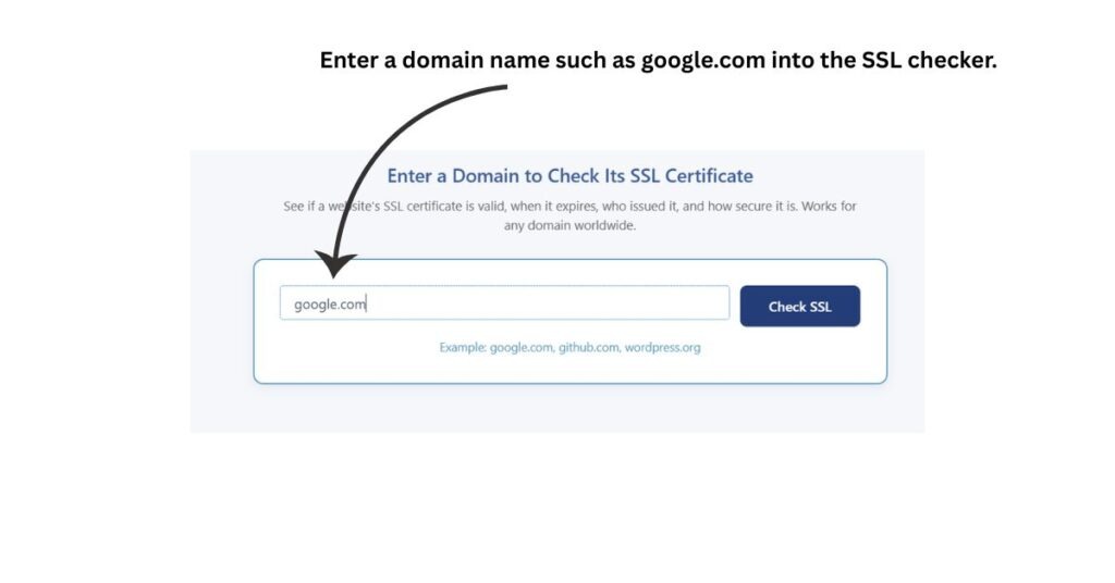 SSL Certificate Checker with google.com entered in the domain field